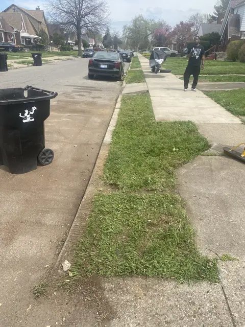 Curb and walkway cleanup