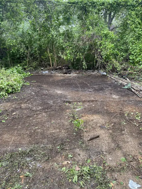 Overgrown lot cleared