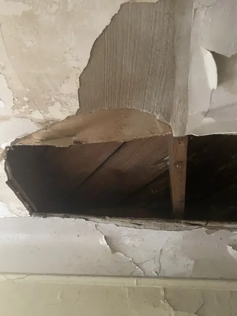 Plaster and lath damage