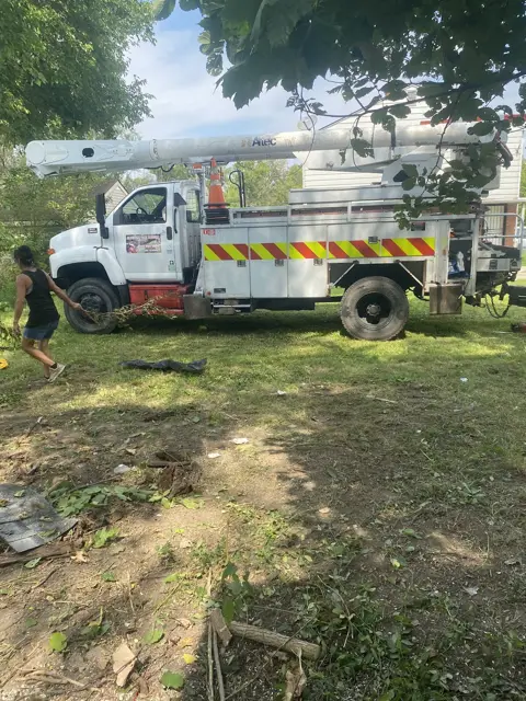 Bucket truck on a tree job